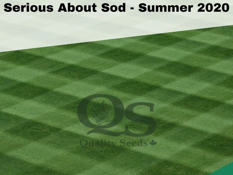 A well-maintained, checkered sod field with text "Serious About Sod - Summer 2020" and "Quality Seeds" logo at the bottom center.