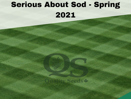 A well-maintained sod lawn is showcased with the text "Serious About Sod - Spring 2021" and the logo "QS Quality Seeds" overlaying the grass pattern.