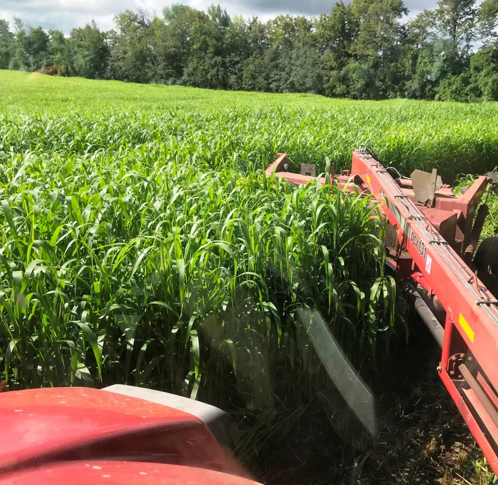 A red tractor plows through a lush, green field bordered by dense trees under a cloudy sky, with no buildings visible.