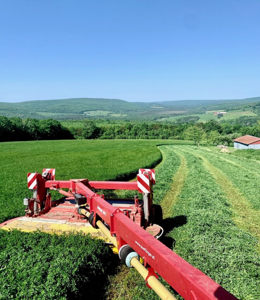 A red agricultural machine cuts grass in a vast green field, with a forest and rolling hills under a clear blue sky in the background.