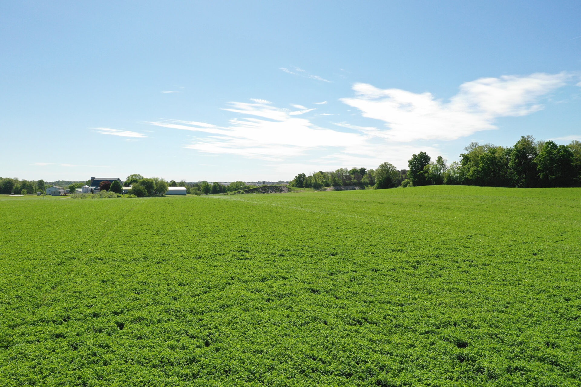 Expansive green field, scattered trees, and farm buildings under a clear blue sky with some clouds. Peaceful rural landscape with no identifiable landmarks.