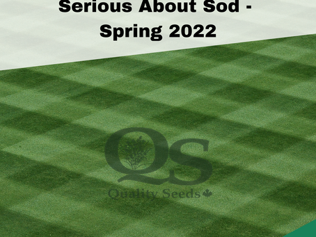 A neatly manicured grass field with a checkerboard pattern, featuring "Serious About Sod - Spring 2022" and "Quality Seeds" text. No landmarks or historical buildings.