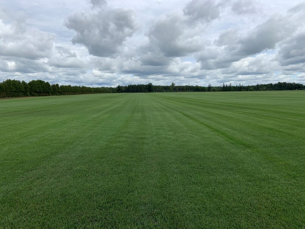 A vast, green grassy field stretches towards a horizon of trees, under a partly cloudy sky with no buildings or landmarks visible.