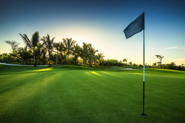 A serene golf course at sunset, featuring a putting green, a flagstick, and lush palm trees in the background. No landmarks or historical buildings.