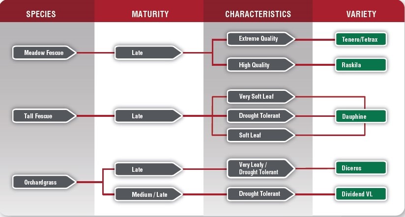 grass_chart